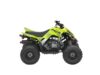 Stock image of 2026 Yamaha Raptor 110 Base product