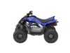 Stock image of 2026 Yamaha Raptor 110 Base product