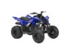 Stock image of 2026 Yamaha Raptor 110 Base product