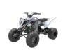 Stock image of 2026 Yamaha  Raptor 700 Base product