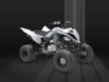 Stock image of 2026 Yamaha  Raptor 700 Base product