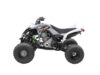 Stock image of 2026 Yamaha  Raptor 700 Base product