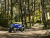Stock image of 2026 Yamaha  YFZ50 Base product