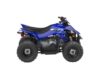 Stock image of 2026 Yamaha  YFZ50 Base product