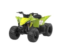 2026 Yamaha  YFZ50 Base