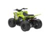 Stock image of 2026 Yamaha  YFZ50 Base product