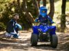 Stock image of 2026 Yamaha  YFZ50 Base product