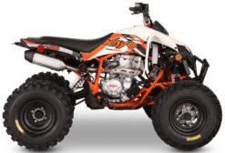 2026 Kayo  Kayo Storm 300 EFI