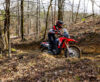 Stock image of 2026 Honda  Honda CRF300L Rally ABS product