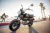 Stock image of 2026 Honda  Honda Monkey ABS product
