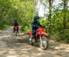 Stock image of 2027 Honda  Honda CRF110F product
