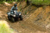 Stock image of 2027 Honda  Honda FourTrax Foreman 4x4 product