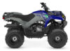 2027 Yamaha  Yamaha Grizzly 110