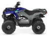 Stock image of 2027 Yamaha  Yamaha Grizzly 110 product