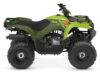 Stock image of 2027 Yamaha  Yamaha Grizzly 110 product