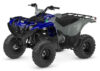 Stock image of 2027 Yamaha  Yamaha Grizzly 110 product