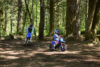 Stock image of 2027 Yamaha  Yamaha PW50 product