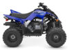 2027 Yamaha  Yamaha Raptor 110