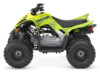 Stock image of 2027 Yamaha  Yamaha Raptor 110 product