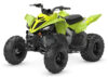 Stock image of 2027 Yamaha  Yamaha Raptor 110 product