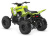 Stock image of 2027 Yamaha  Yamaha Raptor 110 product