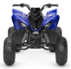 Stock image of 2027 Yamaha  Yamaha Raptor 110 product