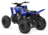 Stock image of 2027 Yamaha  Yamaha Raptor 110 product