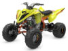 Stock image of 2027 Yamaha Yamaha Raptor 700R SE product