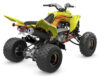 Stock image of 2027 Yamaha Yamaha Raptor 700R SE product