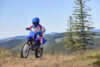 Stock image of 2027 Yamaha  Yamaha TT R125LE product