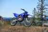Stock image of 2027 Yamaha  Yamaha TT R125LE product