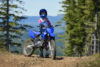 Stock image of 2027 Yamaha  Yamaha TT R125LE product