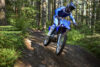 Stock image of 2027 Yamaha  Yamaha TT R230 product