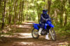 Stock image of 2027 Yamaha  Yamaha TT R230 product