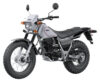 Stock image of 2027 Yamaha  Yamaha TW200 product