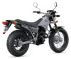 Stock image of 2027 Yamaha  Yamaha TW200 product