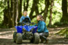 Stock image of 2027 Yamaha  Yamaha YFZ50 product