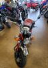 Stock image of Pre-owned 2023 Honda Monkey (485 miles!) product