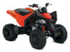 2027 Can-Am  Can Am DS 250