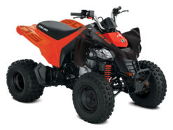 2027 Can-Am  Can Am DS 250