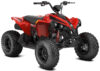Stock image of 2027 Can-Am  Can Am Renegade 110 EFI product