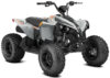 Stock image of 2027 Can-Am  Can Am Renegade 110 EFI product