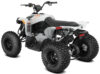 Stock image of 2027 Can-Am  Can Am Renegade 110 EFI product