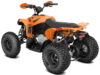 Stock image of 2027 Can-Am Can Am Renegade X XC 110 EFI product
